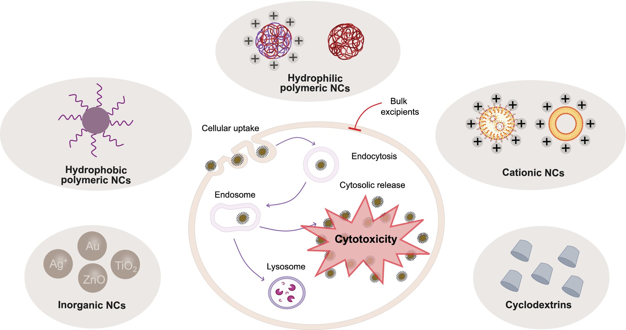Nano-Enabled Toxicity of Pharmaceutical Excipients